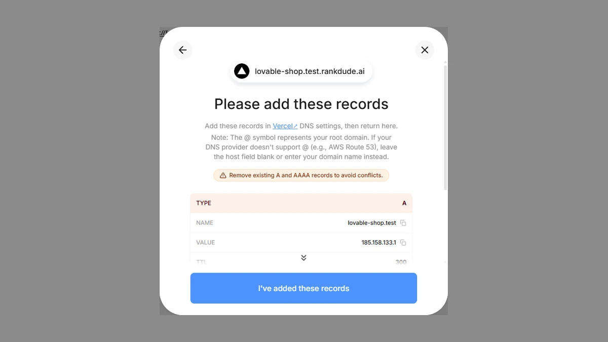 Lovable: The two DNS records Lovable asked for to connect my test domain.