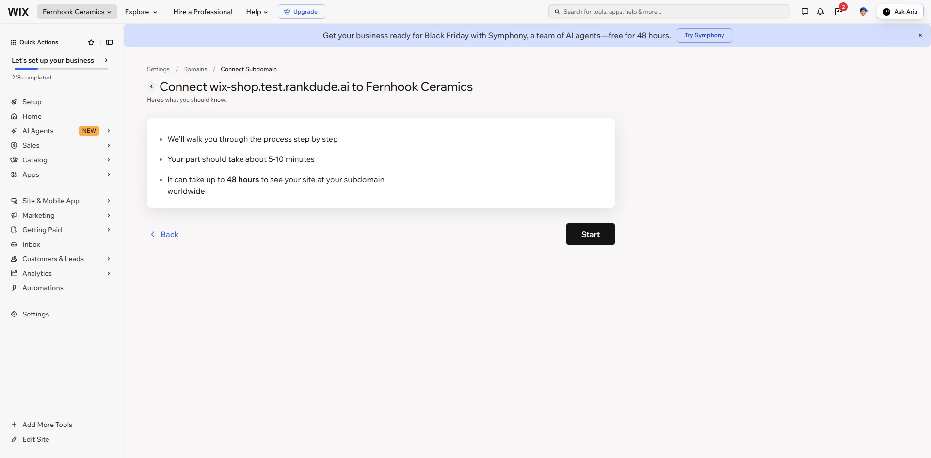 Wix: Connecting our test subdomain to the shop.